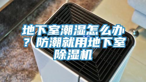 地下室潮濕怎么辦？防潮就用地下室除濕機(jī)