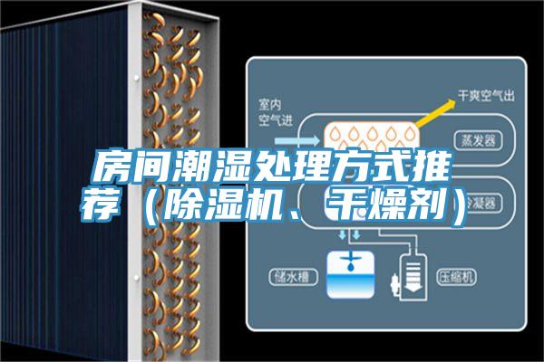 房間潮濕處理方式推薦（除濕機(jī)、干燥劑）