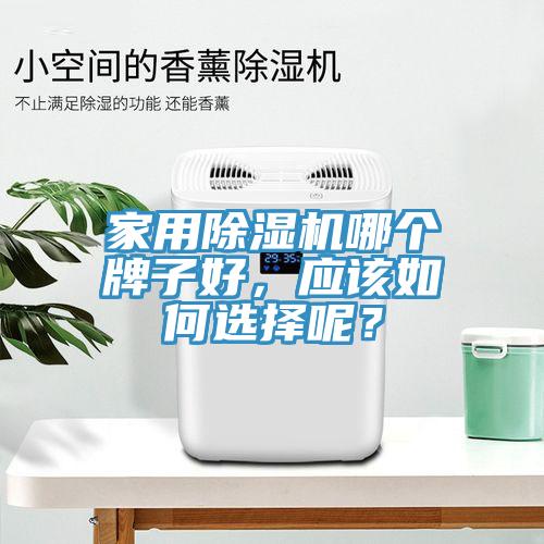 家用除濕機哪個牌子好，應該如何選擇呢？