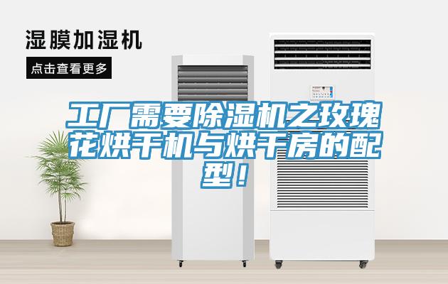 工廠需要除濕機(jī)之玫瑰花烘干機(jī)與烘干房的配型！