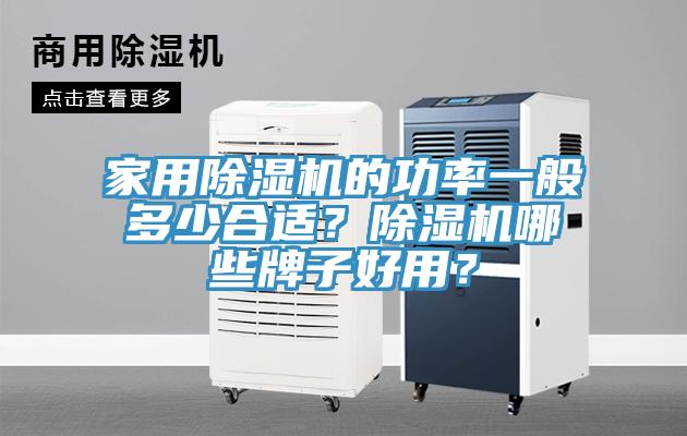 家用除濕機(jī)的功率一般多少合適？除濕機(jī)哪些牌子好用？