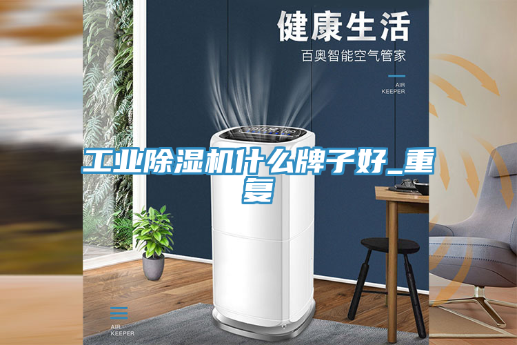 工業(yè)除濕機什么牌子好_重復