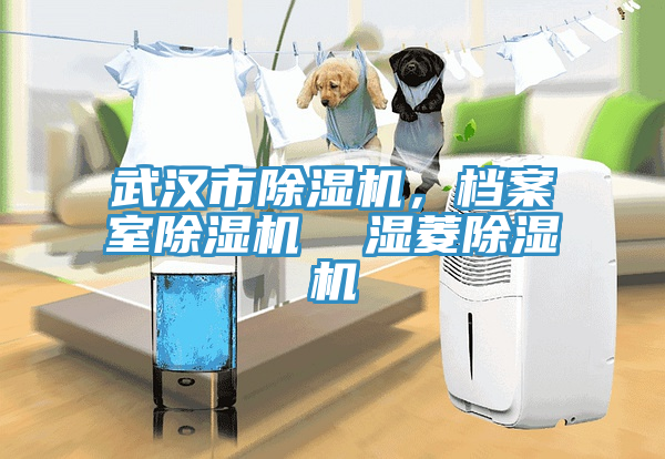 武漢市除濕機(jī)，檔案室除濕機(jī)  濕菱除濕機(jī)