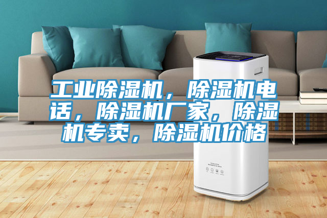 工業(yè)除濕機(jī)，除濕機(jī)電話，除濕機(jī)廠家，除濕機(jī)專賣，除濕機(jī)價格