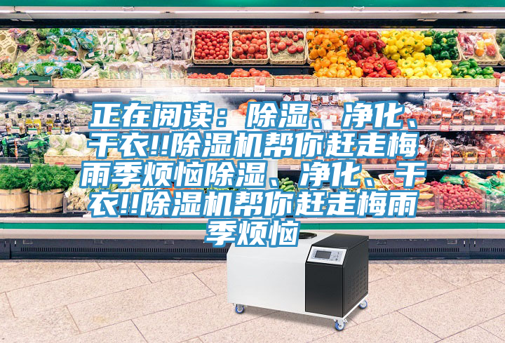 正在閱讀：除濕、凈化、干衣!!除濕機(jī)幫你趕走梅雨季煩惱除濕、凈化、干衣!!除濕機(jī)幫你趕走梅雨季煩惱