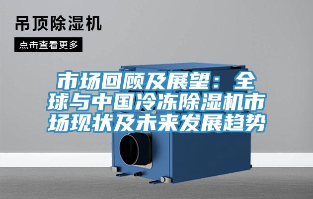 市場回顧及展望：全球與中國冷凍除濕機(jī)市場現(xiàn)狀及未來發(fā)展趨勢