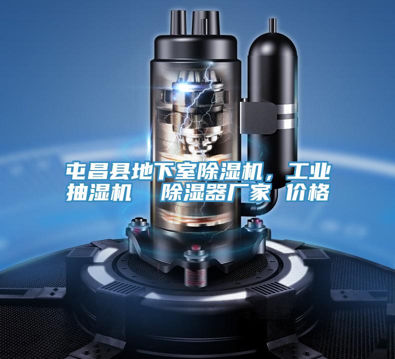 屯昌縣地下室除濕機，工業(yè)抽濕機  除濕器廠家 價格