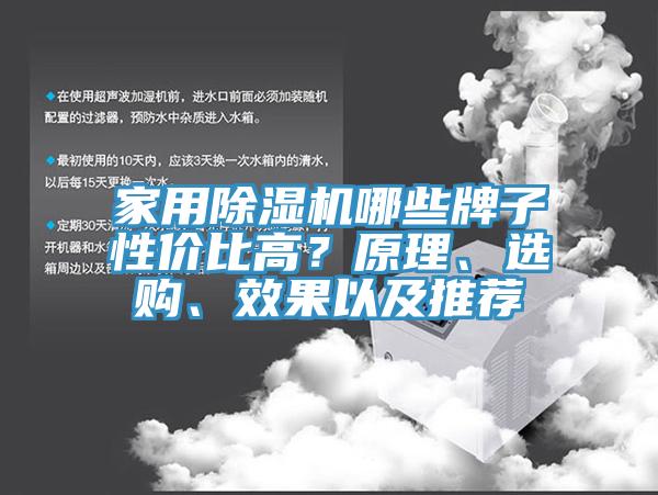 家用除濕機哪些牌子性價比高？原理、選購、效果以及推薦