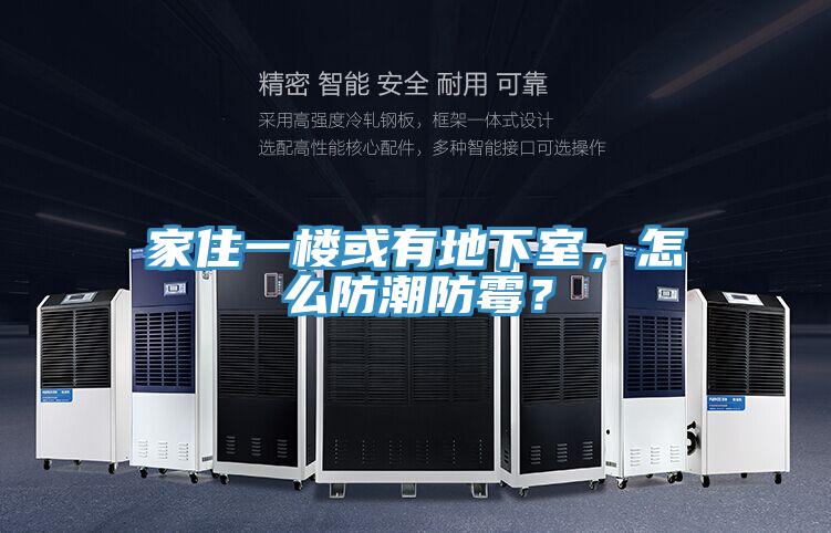 家住一樓或有地下室，怎么防潮防霉？