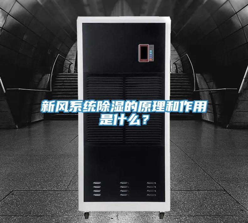 新風(fēng)系統(tǒng)除濕的原理和作用是什么？