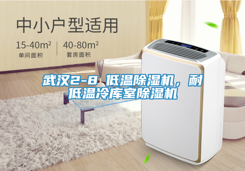 武漢2-8℃低溫除濕機(jī)，耐低溫冷庫室除濕機(jī)