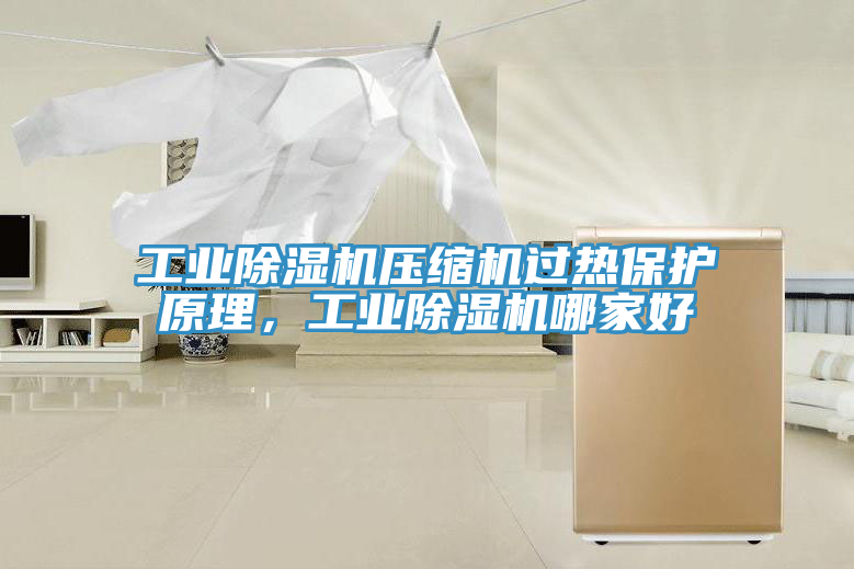 工業(yè)除濕機壓縮機過熱保護原理，工業(yè)除濕機哪家好