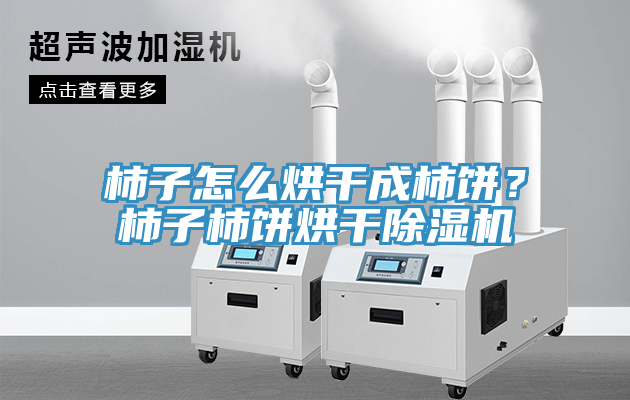 柿子怎么烘干成柿餅？柿子柿餅烘干除濕機(jī)