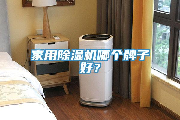 家用除濕機哪個牌子好？
