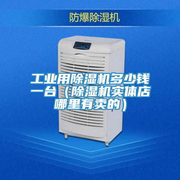 工業(yè)用除濕機(jī)多少錢一臺（除濕機(jī)實(shí)體店哪里有賣的）