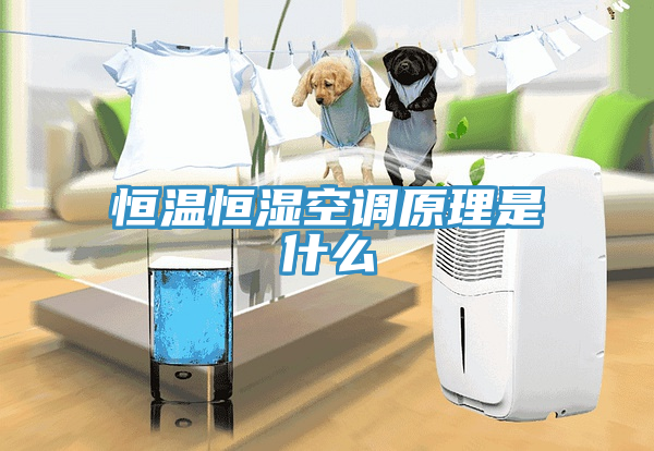 恒溫恒濕空調(diào)原理是什么