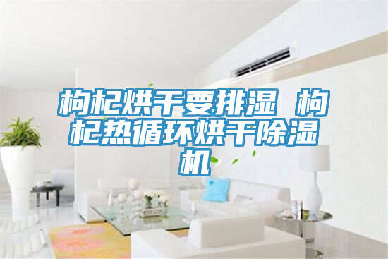 枸杞烘干要排濕 枸杞熱循環(huán)烘干除濕機(jī)