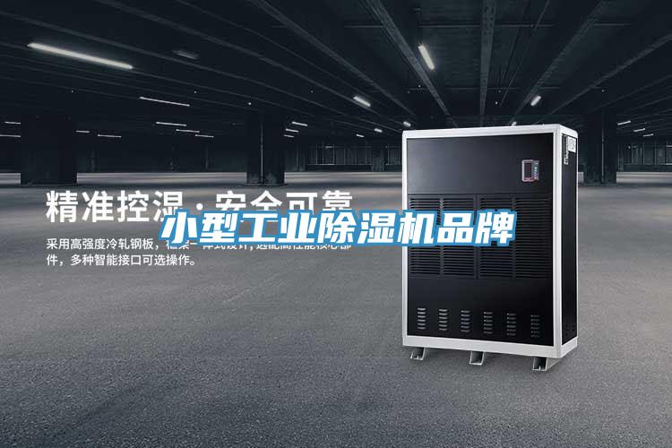 小型工業(yè)除濕機(jī)品牌