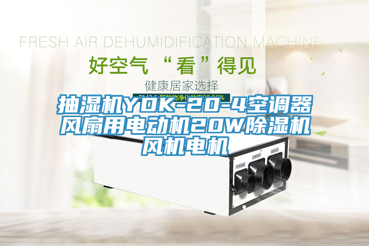 抽濕機YDK-20-4空調(diào)器風扇用電動機20W除濕機風機電機