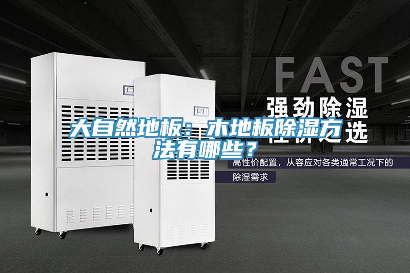 大自然地板：木地板除濕方法有哪些？