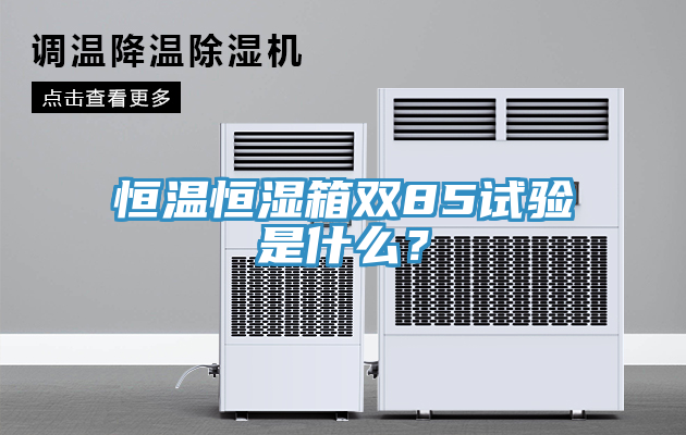 恒溫恒濕箱雙85試驗(yàn)是什么？