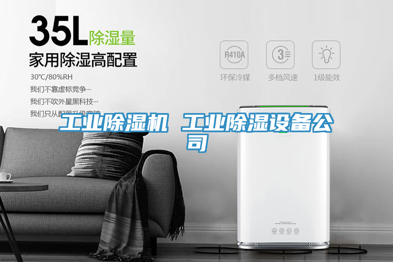 工業(yè)除濕機(jī) 工業(yè)除濕設(shè)備公司