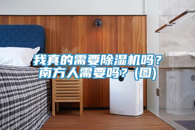 我真的需要除濕機(jī)嗎？南方人需要嗎？(圖)