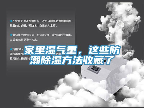 家里濕氣重，這些防潮除濕方法收藏了