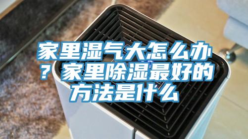 家里濕氣大怎么辦？家里除濕最好的方法是什么