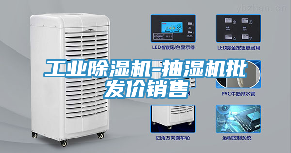 工業(yè)除濕機(jī)-抽濕機(jī)批發(fā)價(jià)銷售