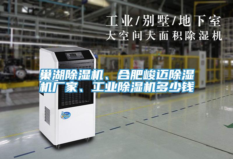 巢湖除濕機、合肥峻邁除濕機廠家、工業(yè)除濕機多少錢