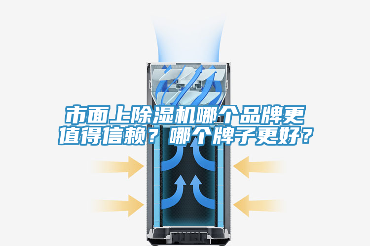 市面上除濕機(jī)哪個(gè)品牌更值得信賴？哪個(gè)牌子更好？
