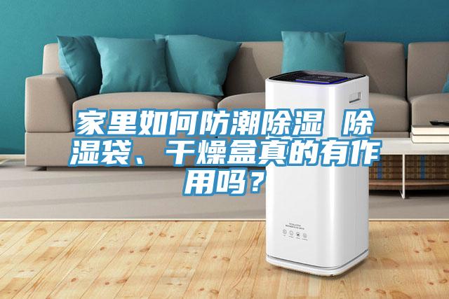 家里如何防潮除濕 除濕袋、干燥盒真的有作用嗎？