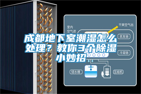 成都地下室潮濕怎么處理？教你3個除濕小妙招