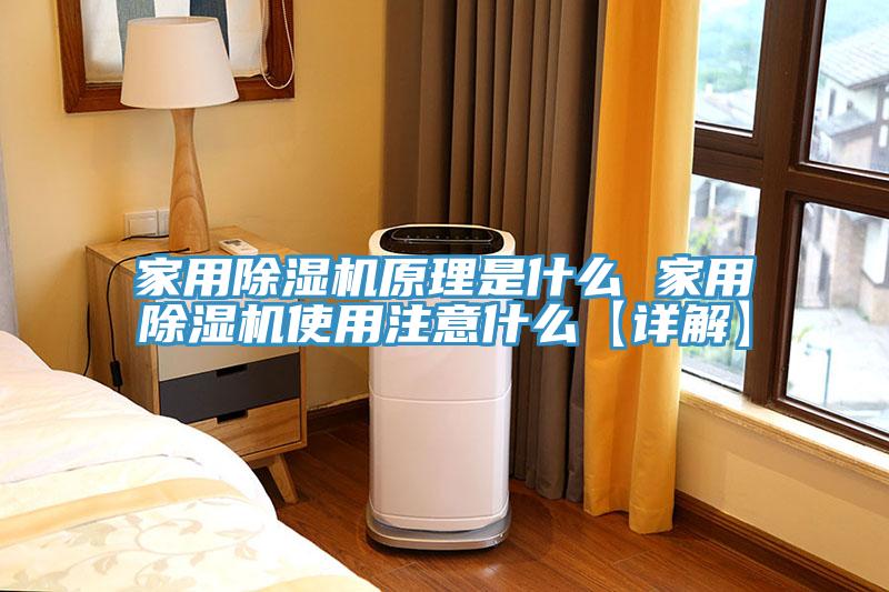 家用除濕機(jī)原理是什么 家用除濕機(jī)使用注意什么【詳解】