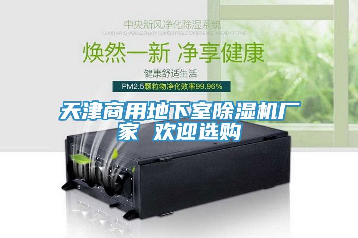 天津商用地下室除濕機(jī)廠家 歡迎選購(gòu)