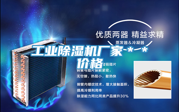 工業(yè)除濕機(jī)廠家＊＊價格