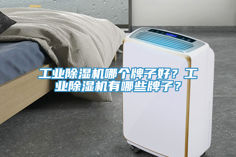 工業(yè)除濕機(jī)哪個(gè)牌子好？工業(yè)除濕機(jī)有哪些牌子？