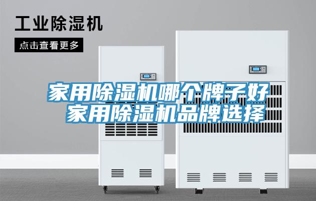 家用除濕機(jī)哪個(gè)牌子好 家用除濕機(jī)品牌選擇
