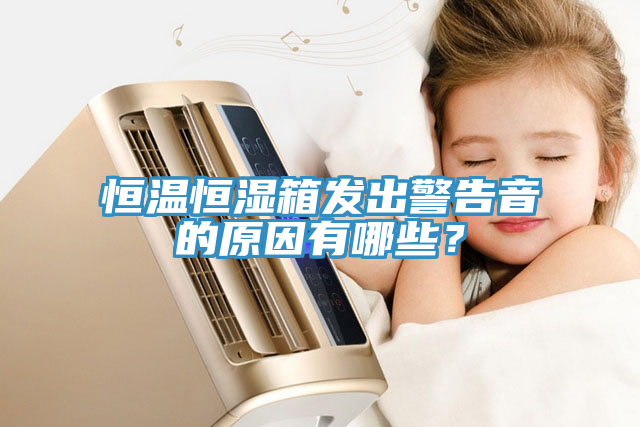 恒溫恒濕箱發(fā)出警告音的原因有哪些？