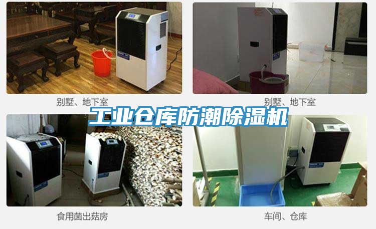 工業(yè)倉(cāng)庫(kù)防潮除濕機(jī)