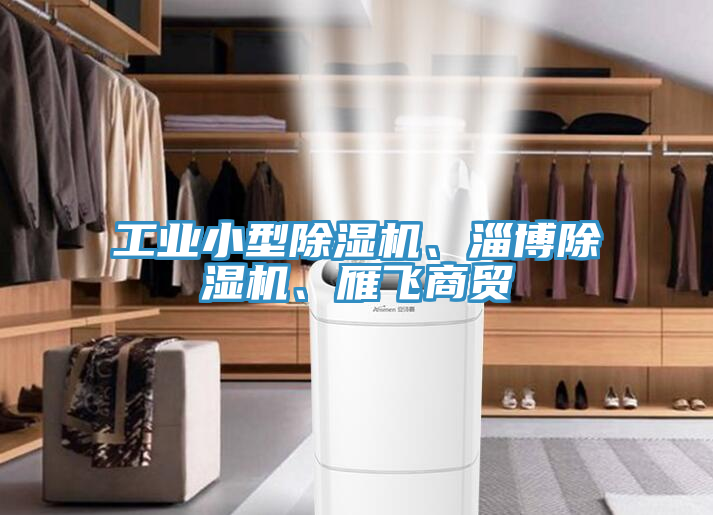 工業(yè)小型除濕機(jī)、淄博除濕機(jī)、雁飛商貿(mào)