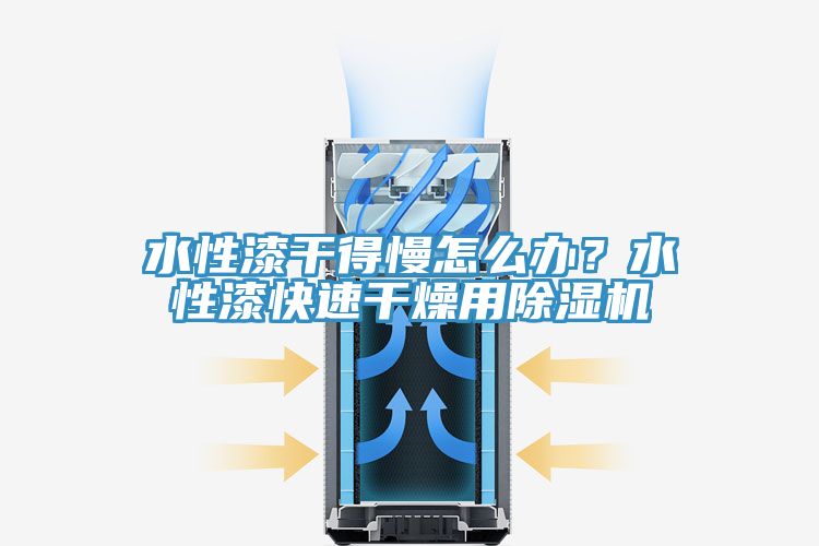 水性漆干得慢怎么辦？水性漆快速干燥用除濕機(jī)
