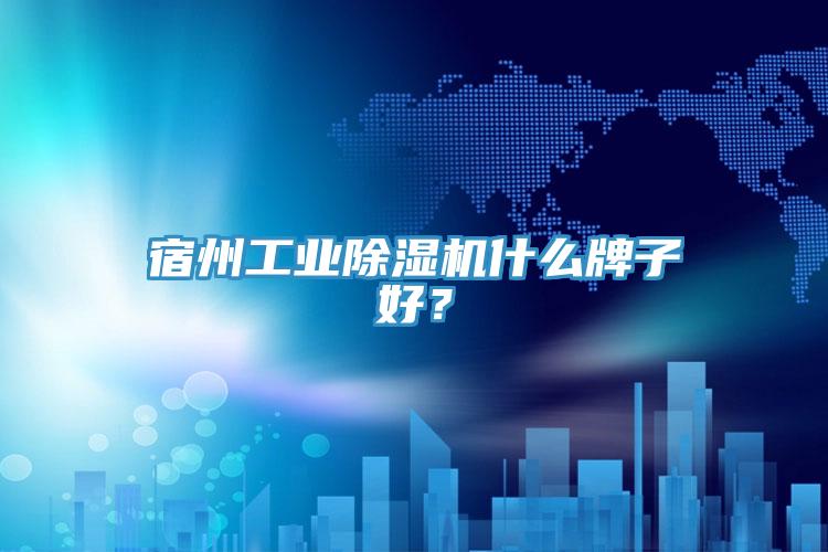宿州工業(yè)除濕機什么牌子好？