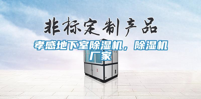 孝感地下室除濕機，除濕機廠家