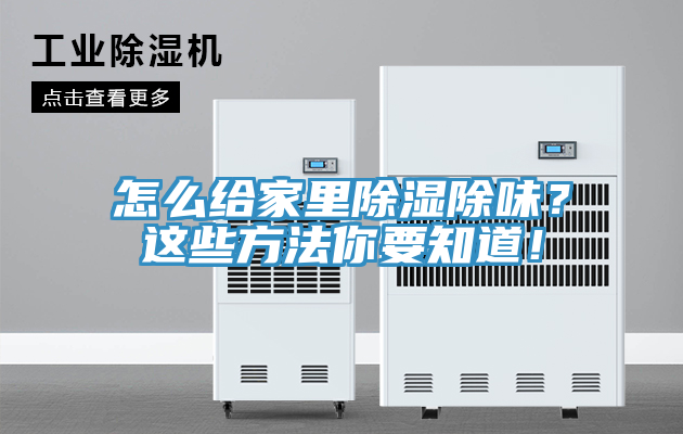 怎么給家里除濕除味？這些方法你要知道！