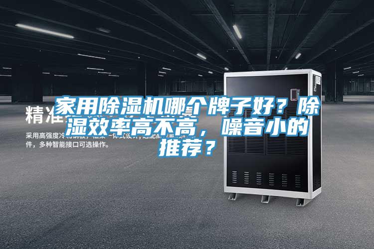 家用除濕機哪個牌子好？除濕效率高不高，噪音小的推薦？