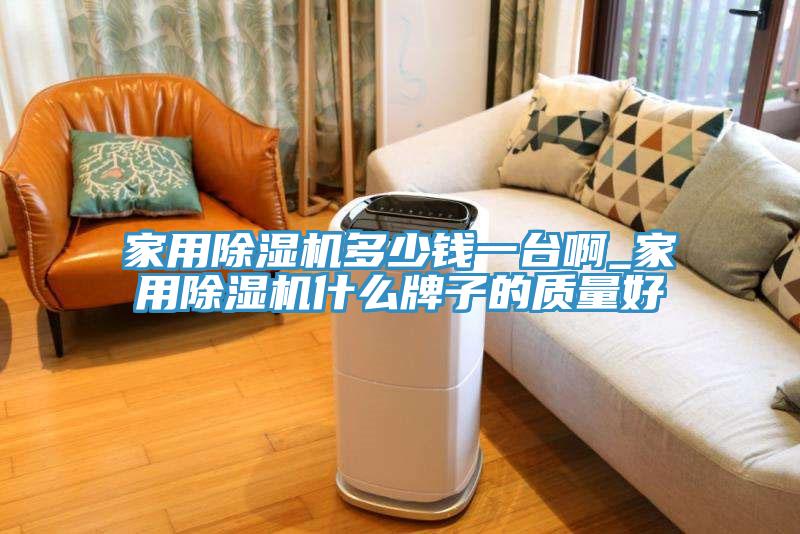 家用除濕機(jī)多少錢一臺(tái)啊_家用除濕機(jī)什么牌子的質(zhì)量好