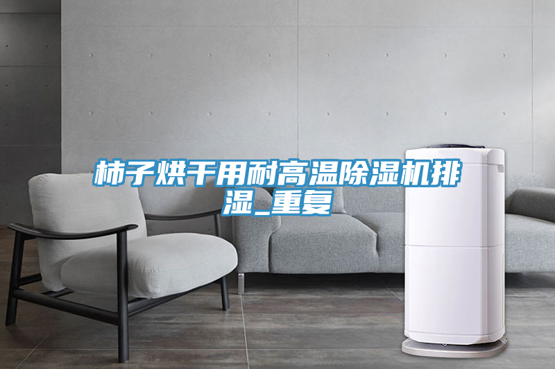 柿子烘干用耐高溫除濕機排濕_重復(fù)