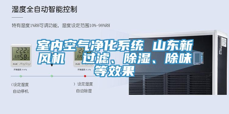 室內(nèi)空氣凈化系統(tǒng) 山東新風(fēng)機(jī)  過濾、除濕、除味等效果